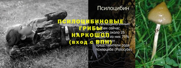 марки lsd Алзамай