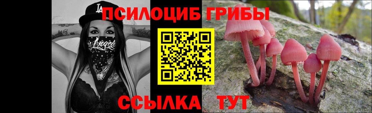 Нурлат  Галлюциногенные грибы Psilocybe  дарнет шоп  Вход с VPN 